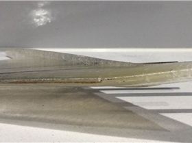 It's bit warm on the back verandah