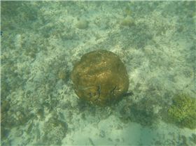 GOPR25991698229202924