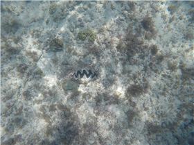 GOPR25941698229202924