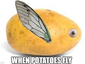 Flying potato