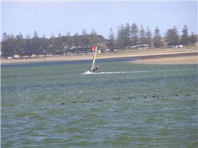 Dad (Peter) at Goolwa on the 22nd of November 2008