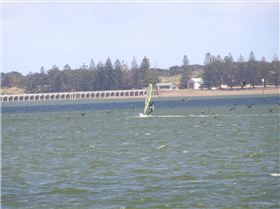 Dad (Peter) at Goolwa on the 22nd of November 2008