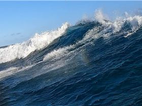 Screenshot20220926-210502Gallery