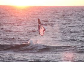 Backies at Dutch-Inn