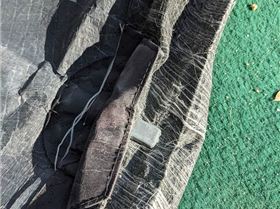 PXL20240206160317397