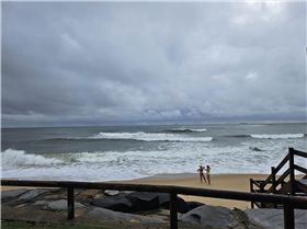 SCB Koda Classic 2024