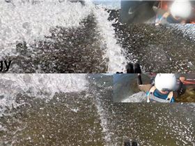 Fin wake Fangy vs Flex