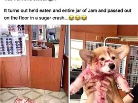 main-qimg-de2e1814528e10af1017bf85708d0a40