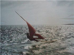  Al sailing a Bombora dromedary(1981?)