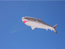 Family Sailing Day West Lakes