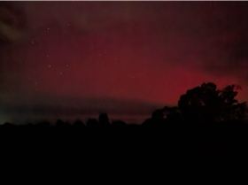 PXL20240511121535894.NIGHT