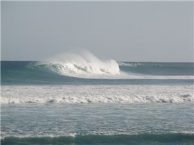 mast high pure power