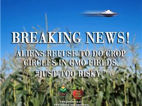 832e9ecdd452390034cb995853cb1571