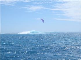 save the gee gods country