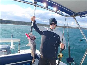 save the gee gods country