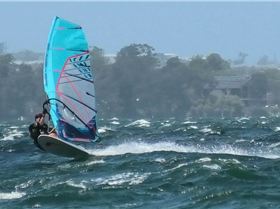 WT57 - 5m Gator - 24cm stealth weedy