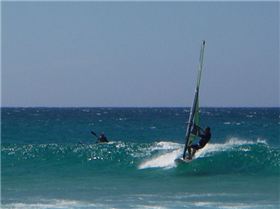 Ollie catching a wave