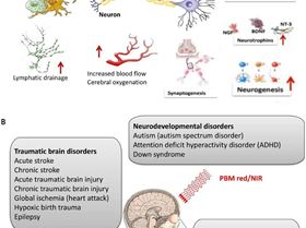 Original.01300535-202403000-00008.F1