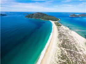 510b2f11f35c62df7a0fa9f1a3f60890