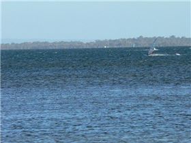 The Big Fella at beginning of run