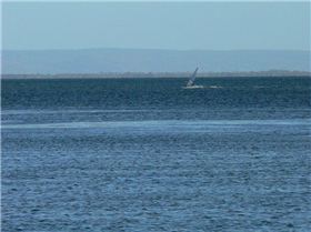 The Big Fella hitting the good stuff