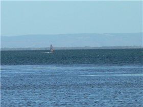 The Big Fella coming back