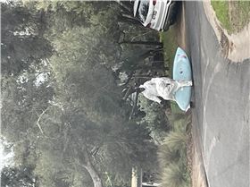 Couldn't not take a photo of this ,so many questions,saw these guys last week in rye ??