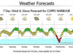 New Years forecast 2008/2009 Coffs