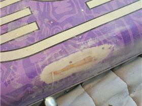 Resized202410151511001729035392900