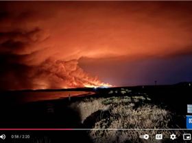 Screenshot 2024-11-29 at 10.38.42?am