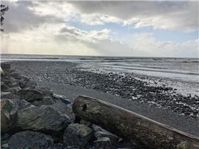 PXL20241226214613210