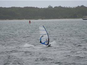 shearwater sat 3 jan 09