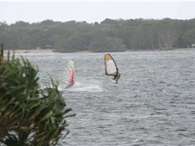 shearwater sat 3 jan 09