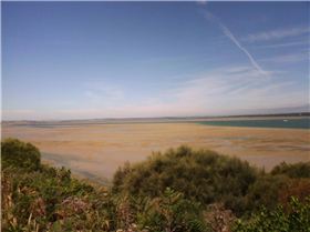 New speed spot for the Pit crew