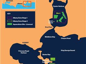 Capture-1-e1728982622619