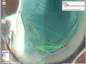 Screen Shot 2025-01-08 at 12.24.23 pm