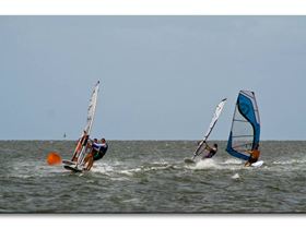 Waterloo Cup 04.01.09