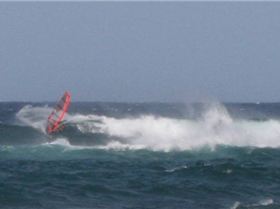 OES Twin Fins on Maui