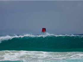 SEQWA expression session