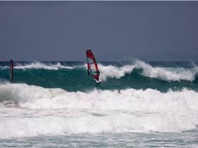 SEQWA wave of the day