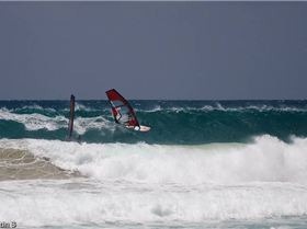 SEQWA wave of the day