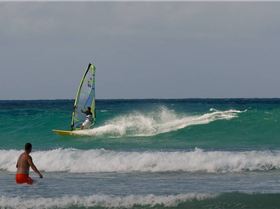 SEQWA expression session