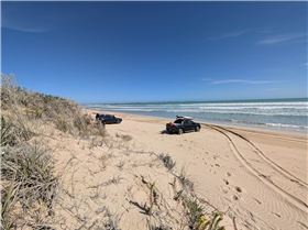 PXL20250326041629986