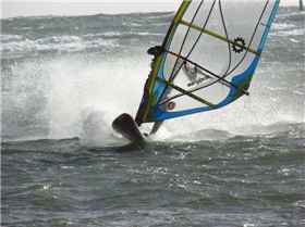 Afternoon Session 16 Jan 09