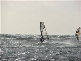 Afternoon Session 16 Jan 09