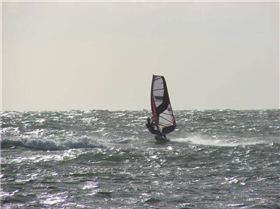 Afternoon Session 16 Jan 09