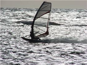 Afternoon Session 16 Jan 09