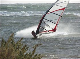 Afternoon Session 16 Jan 09