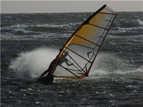 Ricketts Point Afternoon Session 16/01/09