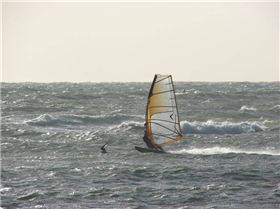 Ricketts Point Afternoon Session 16/01/09